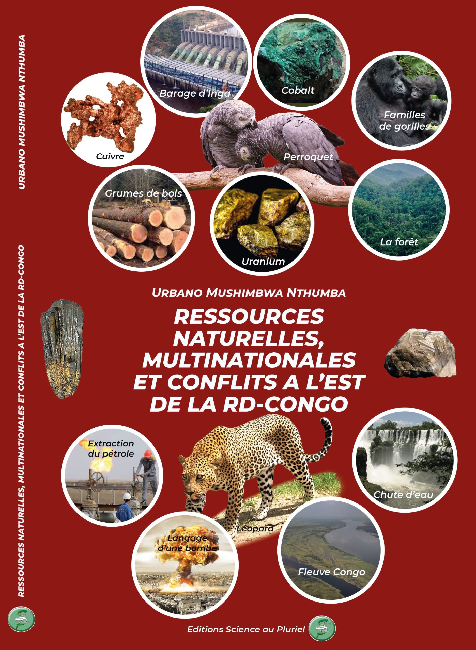 Ressources naturelles, multinationales et conflits à l&rsquo;Est de la RD Congo